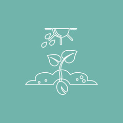 Plant  grow icon