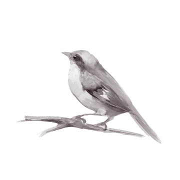 Cute watercolor bird. Vector illustration 2