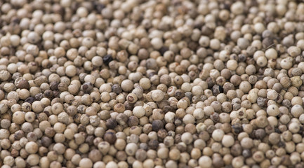 White Peppercorns (background image)