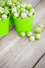 gooseberries closeup