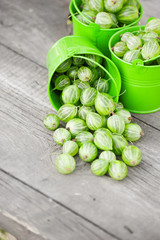 gooseberries closeup