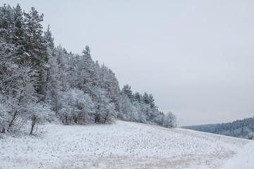Winterliche Landschaft
