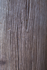 Naklejka premium texture from wood