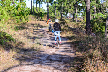 Obraz premium Cyclists rides on a gravel road in the middle of a pine forest.