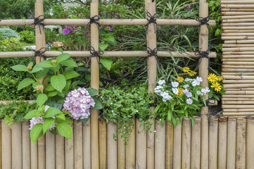 flowers growing along bamboo wooden fence in traditional garden