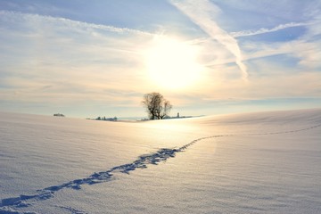 Winterlandschaft