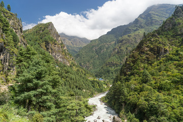 Fototapeta na wymiar Everest region forest and river