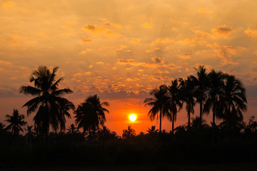 Obraz premium Morning scenery with natural light