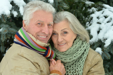 senior couple at winter outdoors