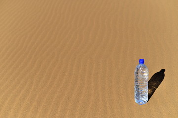 Bottle of water