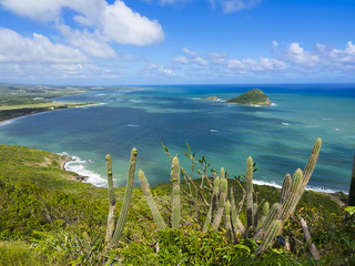 Blick über die Savannes Bay Nature Reserve bei Vieux Fort, Saint Lucia, St. Lucia, Inseln über...