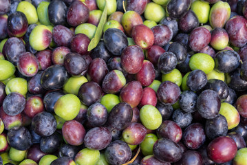 Background of Green and black fresh olives