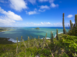 Blick über die Savannes Bay Nature Reserve bei Vieux Fort, Saint Lucia, St. Lucia, Inseln über dem Winde, Kleine Antillen, Karibik, Karibisches Meer, Nordamerika