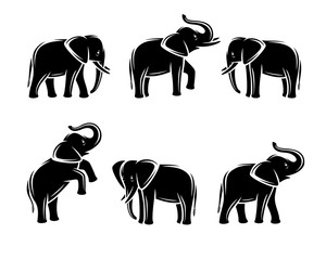 Obraz premium Zestaw słonia. Wektor