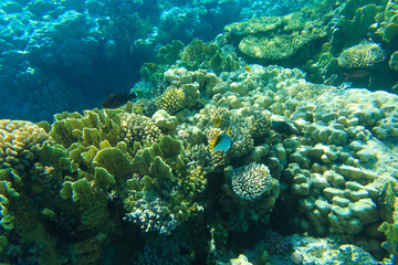 underwater