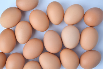 Eggs isolated on a white background.