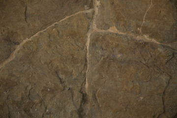 Textura 17 / textura de rocas en tonos ocres con surcos muy señalados.