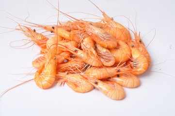 prawn Shrimp