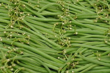 Pile of green beans at produce market