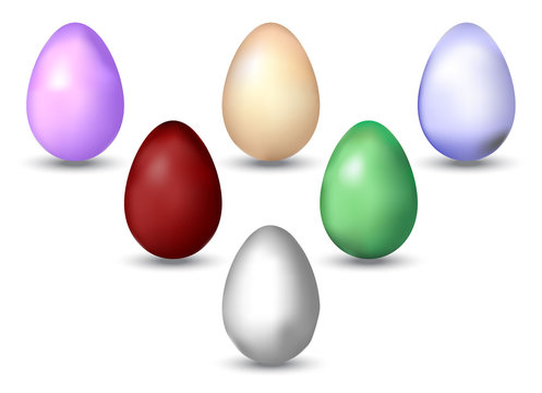 vector eggs