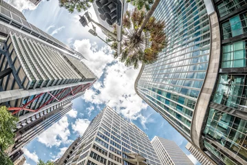 Foto op Plexiglas Sydney skyscrapers, view from street level © jovannig
