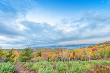 Aerial view of fall tree colors in New England. Bright autumn fo