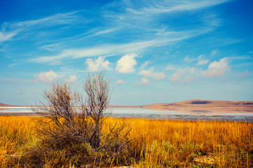 Fototapeta na wymiar Beautiful lake in desert
