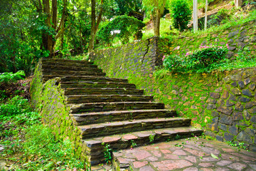 Obraz premium stone with moss in garden