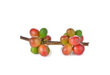 Red coffee beans , ripe berries isolated on white background