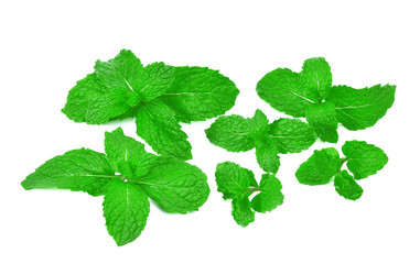 Fresh raw mint leaves isolated on white background