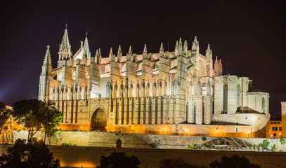 Fototapeta na wymiar Kathedrale Mallorca Nachtaufnahme