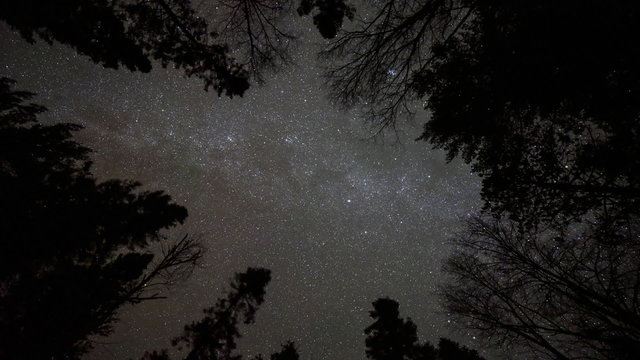 The stars in the Milky Way Galaxy rotate in this night sky time-lapse.  The Milkyway is framed by pine trees in a forest clearing.