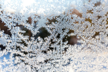 морозный узор на стекле