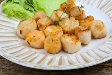 Scallops