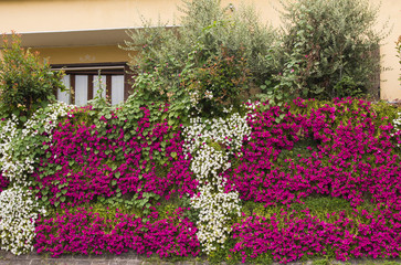 Giardino decorato con tanti fiori