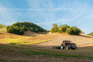 A tractor in a hill cornfield in the italian region of Marche © Roberto Lo Savio
