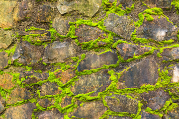 Old wall stone background with moss