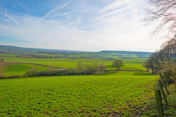 Fototapeta na wymiar Panorama of a sunny green meadow on a hill 