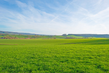 Fototapeta premium Sunny meadow on a hill in winter