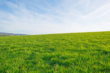 Sunny meadow on a hill in winter