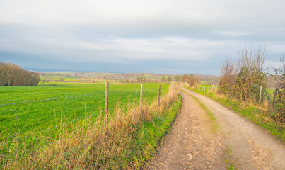 Path through sunny farmland in winter