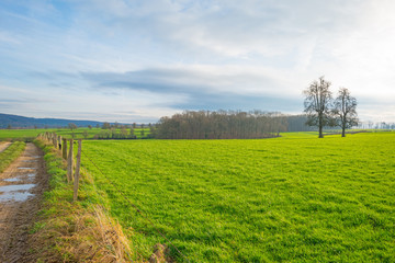 Sunny meadow on a hill in winter
