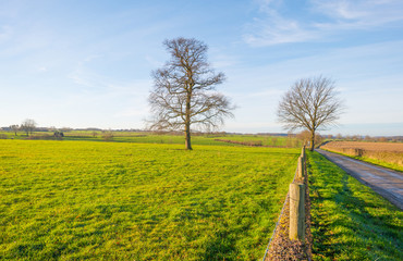 Path along a sunny meadow in winter