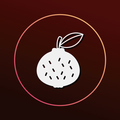 fruits orange icon