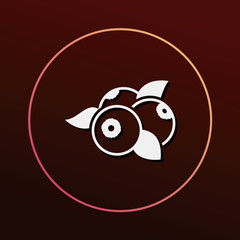 fruits blueberry icon