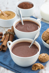 cocoa with cinnamon and cookies, vertical