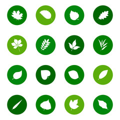 Set of leaf icons on color backgrounds, vector illustration