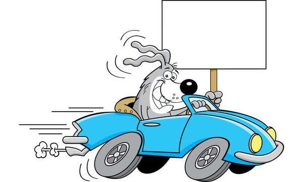 Cartoon illustration of a dog driving a car and holding a sign.