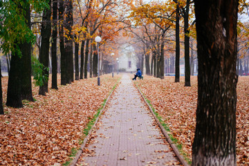 Walkway in the autumn park on a cloudy day