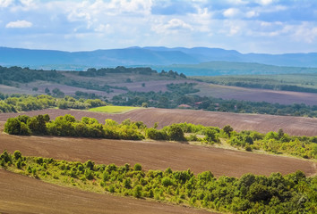 Obraz premium Plowed Fields